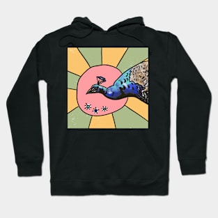 Peacock Hoodie